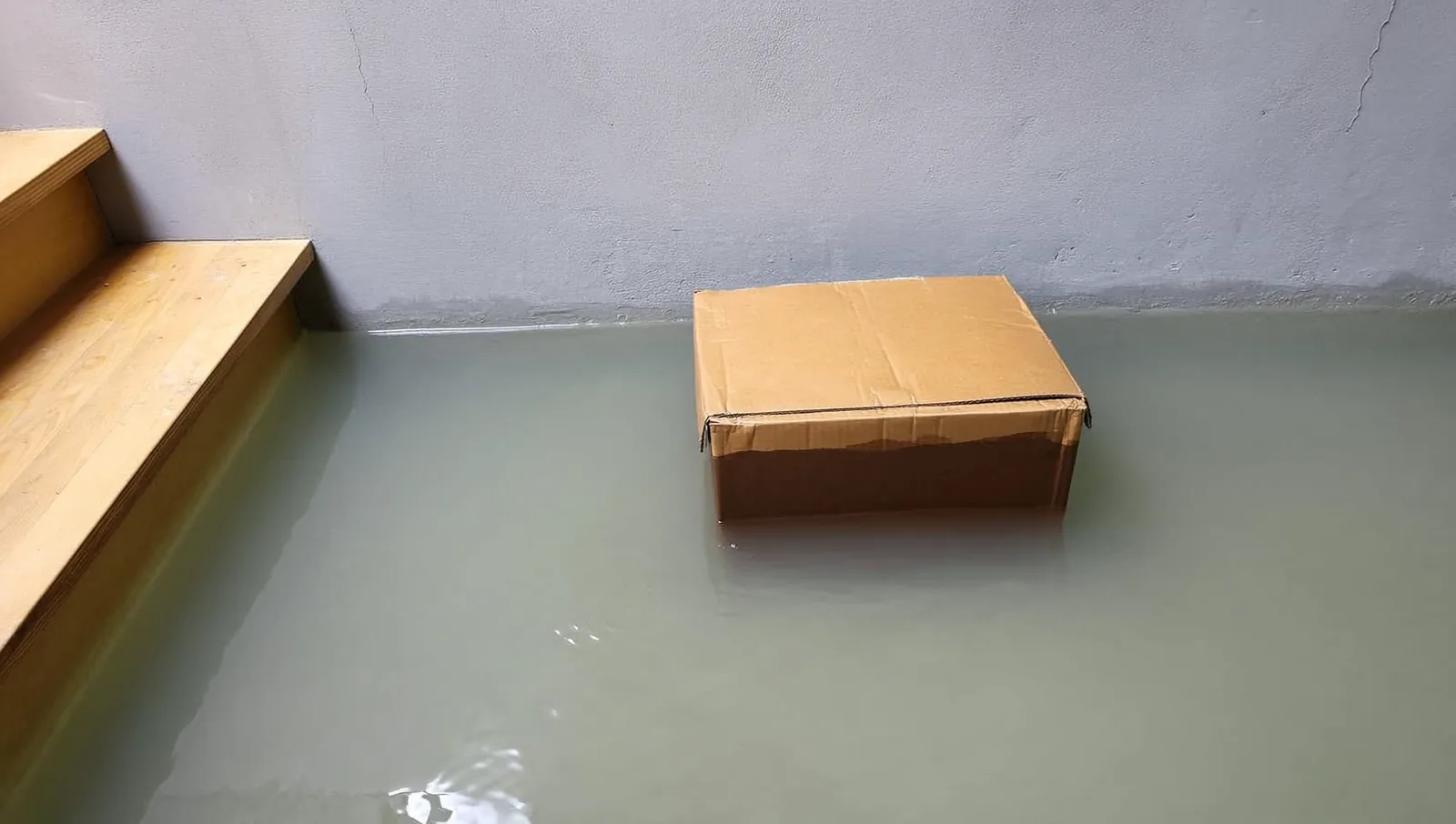 Soaked cardboard box in water on a basement floor
