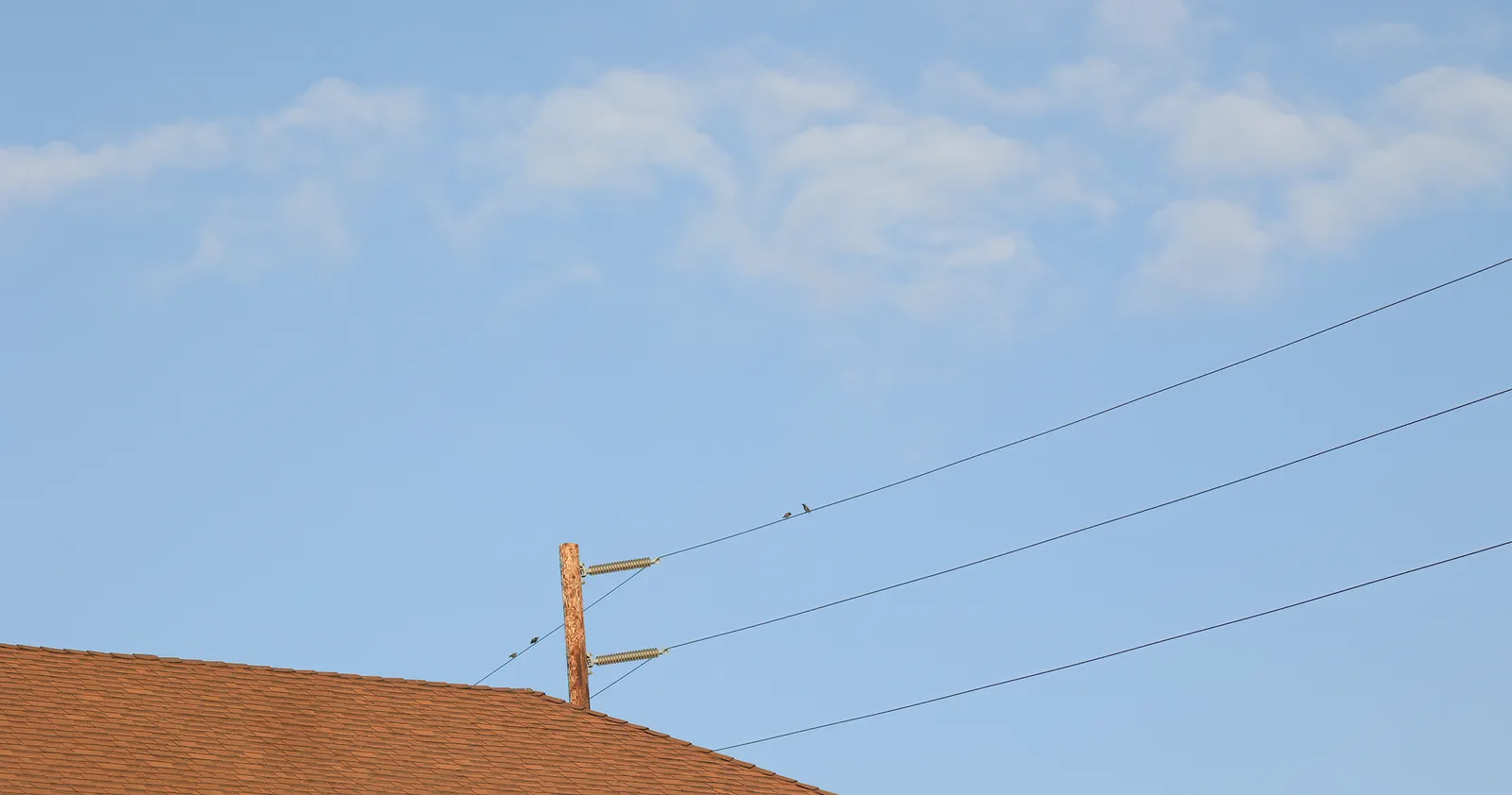 Power lines on a wooden pole beside a shingle roof