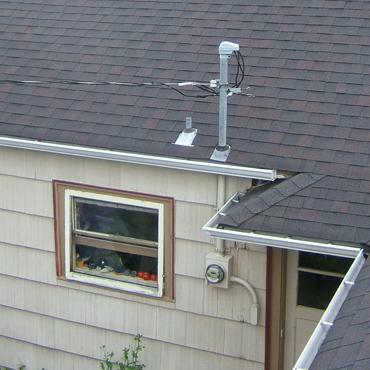 Triplex service drop at a weatherhead above an electric meter