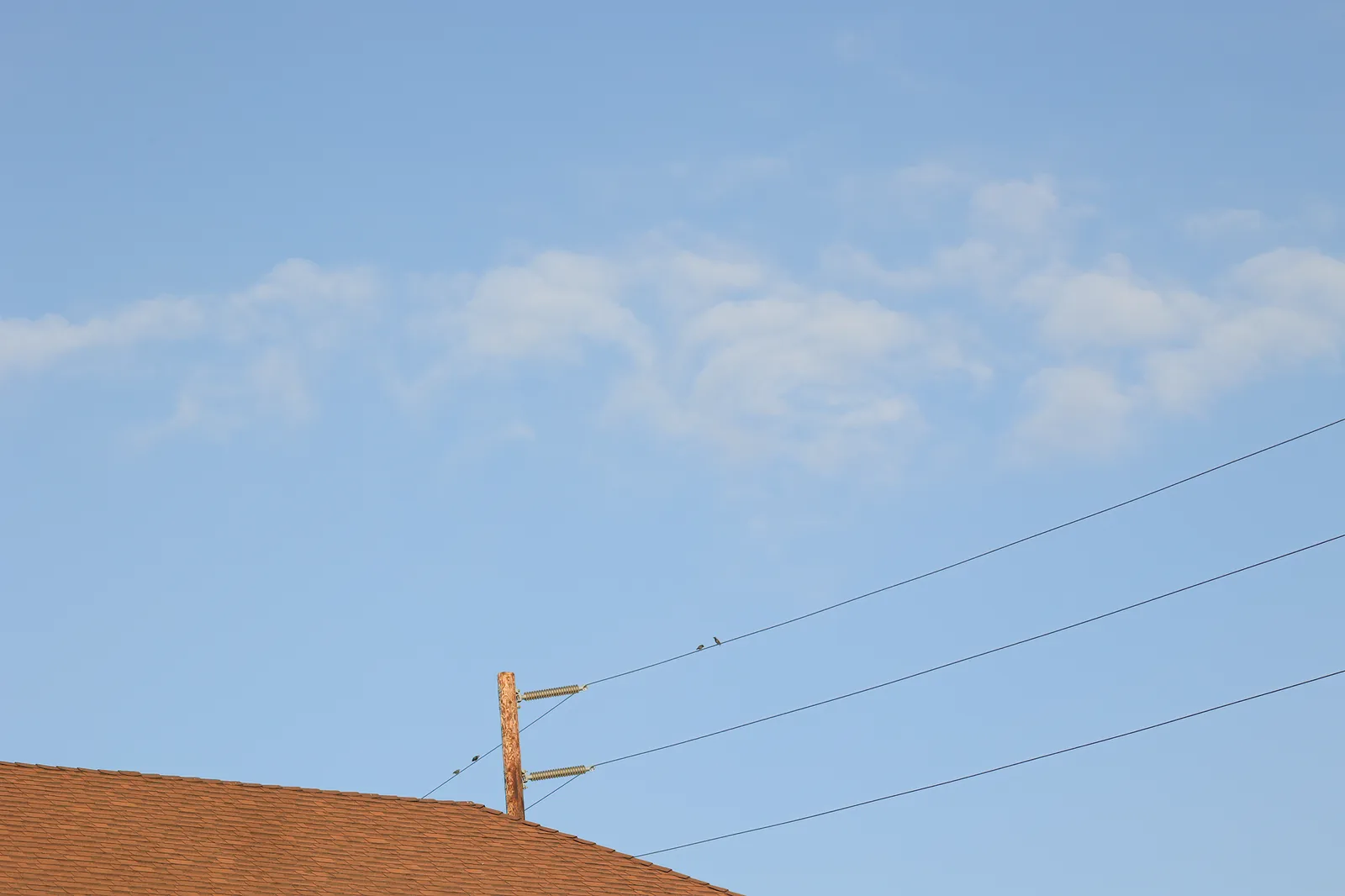 Overhead utility conductors running from insulators on a wooden pole down across a shingled residential roof against a blue sky.